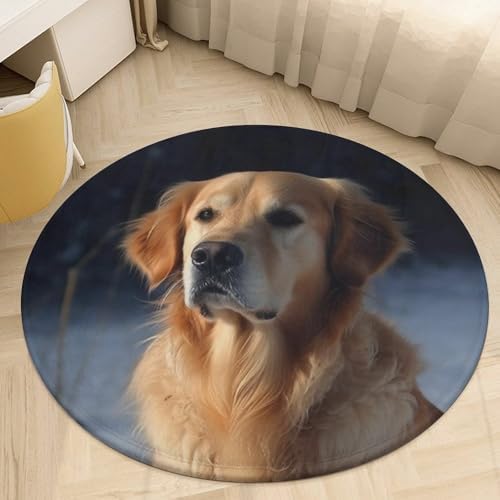 Golden Retriever 80x80cm Soft Coral Velvet Area Rug