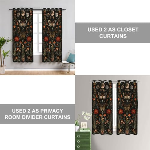Fangpamz Moth Butterfly Door Curtain 34x80