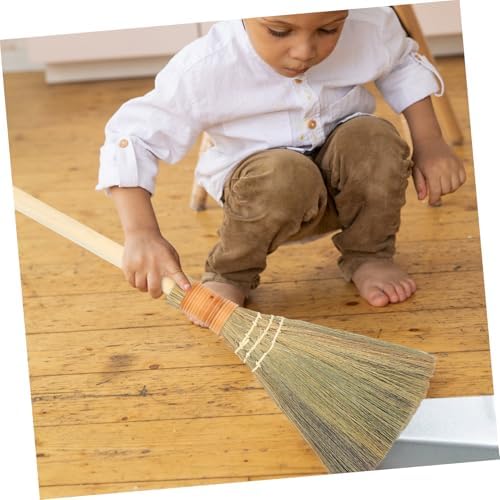 Natural Whisk Broom with Wood Handle for Indoor Cleaning