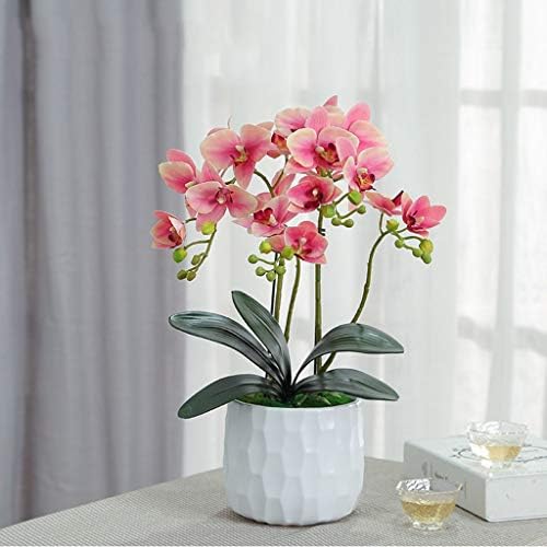 Artificial Orchids with Ceramic Vase Decor Set