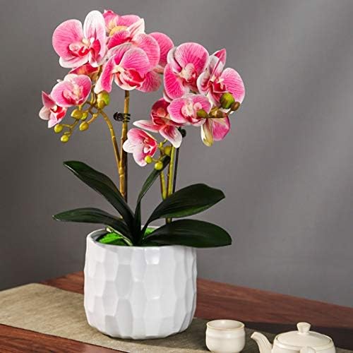 Artificial Orchids with Ceramic Vase Decor Set