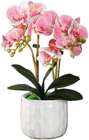 Artificial Orchids with Ceramic Vase Decor Set