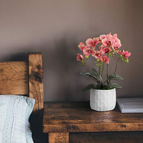 Artificial Orchids with Ceramic Vase Decor Set
