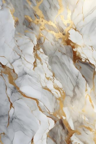 Luxury Grey Gold Burst Marble Area Rug 2x3