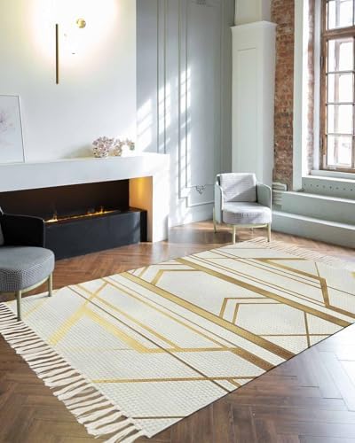 SEVENBABU 4x6 Area Rug with Tassels
