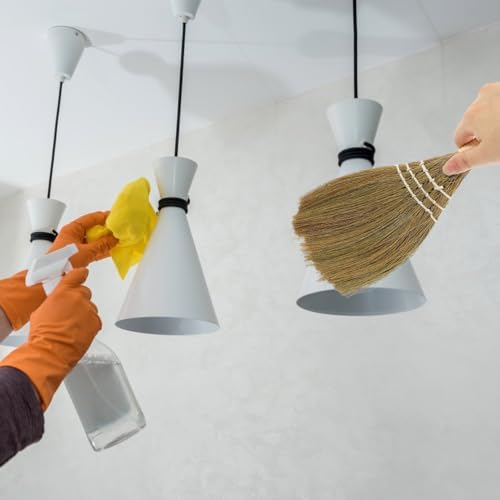 2Pcs Small Natural Whisk Broom - Handmade Thai Straw Soft Broomstick with Handle
