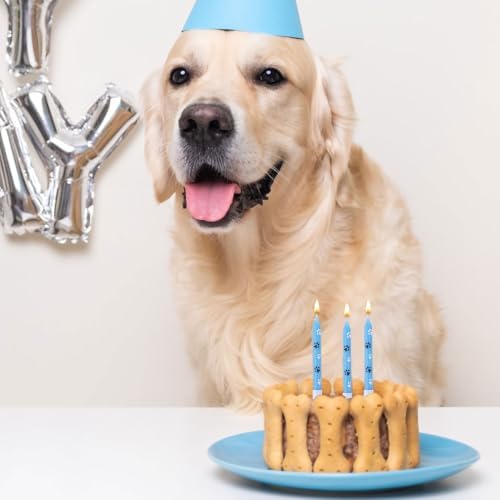 PEUTIER 12Pcs Paw Print Birthday Candles for Dogs and Cats