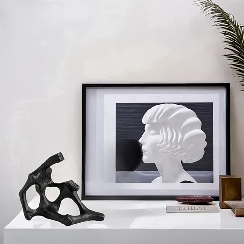 WAZAIGUR Modern Black Abstract Sculpture Decor
