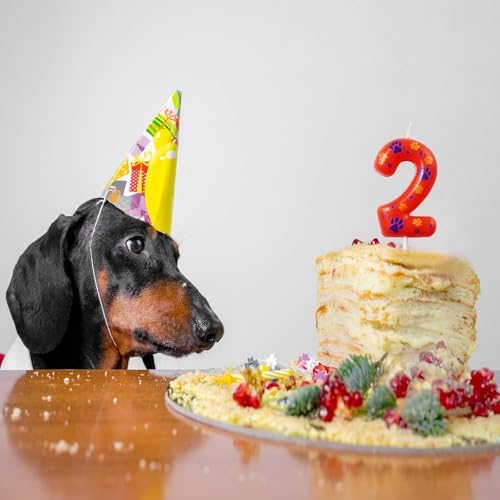 Kandelo Dog Paw Birthday Candles with Numbers Red Blue Yellow 2-Pack