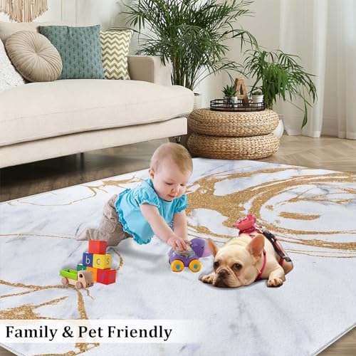 IJUGIX Luxury Marble Gray 6x8 Area Rug