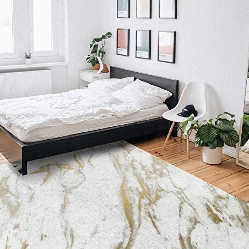 Ocean Party Indoor Area Rugs - Marble White and Gold Pattern