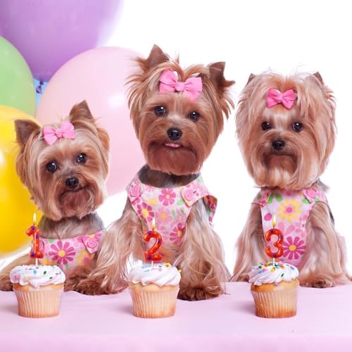 Kandelo Dog Paw Birthday Candles with Numbers Red Blue Yellow 2-Pack