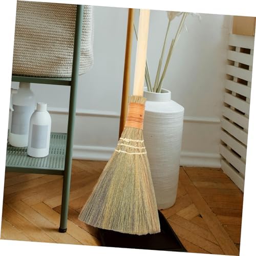 Natural Whisk Broom with Wood Handle for Indoor Cleaning