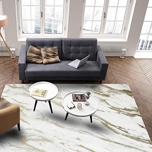 Ocean Party Indoor Area Rugs - Marble White and Gold Pattern