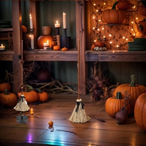 Animated Halloween Broom with LED Lights