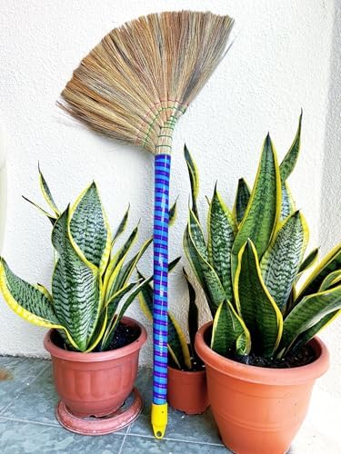 ZOTATO Handmade Asian Broom Set of 3 - 40 Length