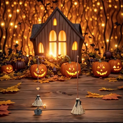 Animated Halloween Broom with LED Lights